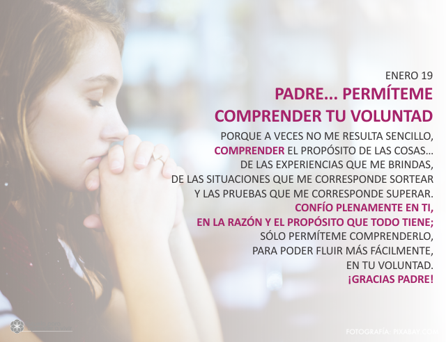 Padre... permíteme comprender tu voluntad